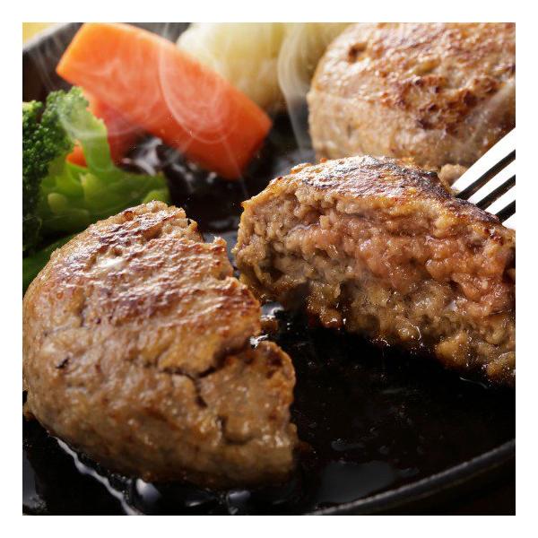 爆買 鹿児島県産 黒毛和牛 里山牛 ハンバーグ 100g×5個 鹿児島黒牛 黒牛 牛肉 赤身 ご当地 グルメ  ギフト 特産品 食品  セット