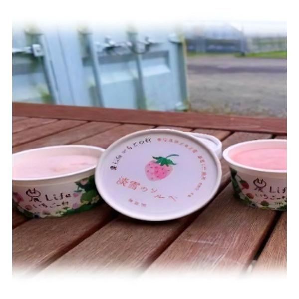 苺のソルベ４個セット 赤苺２個・淡雪２個  ギフト 特産品  鹿児島県産