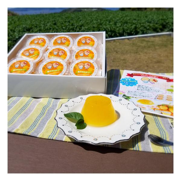 鹿児島県産 島みかん ゼリー 9個入 お菓子 洋菓子 ギフト セット みかん 特産品