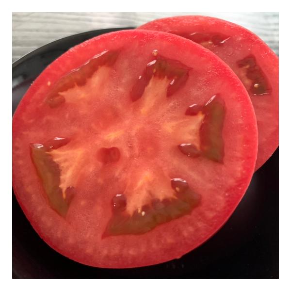 お客様に納得いただける美味しいトマトを目指して若松農園では土づくり・肥料づくりを大事にしています。土づくりは、柔らかい土づくりためサトウキビの搾りかす（バガス）をたっぷり入れて、土ごと発酵させています。肥料は、米ぬかや油粕を低温発酵させた自...