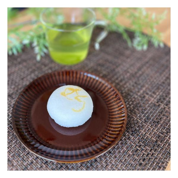 鹿児島銘菓 極かるかん饅頭 10個入り 和菓子 郷土菓子 お土産 ギフト 特産品 鹿児島県産