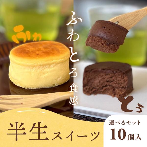 鹿児島県産 選べる半生チーズ 10個入りセット 名物 洋菓子 お土産 ギフト 特産品 贈答用