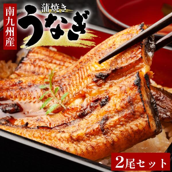 鹿児島産 タレ 山椒 付きうなぎ蒲焼 有頭 2尾 南九州産 うなぎ 蒲焼き 国産 鹿児島 宮崎 ウナギ 鰻 かば焼き 蒲焼 ウナギの蒲焼き 贈答 九州産