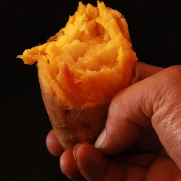 【指宿産 人参芋 5kg】鮮やかなオレンジ色が特徴的な「人参芋」。人参のような鮮やかなオレンジ色のサツマイモの一種。ねっとりと食感で甘みが強い味わい。火を入れると更にねっとりとした食感と甘さが引き立ちます。全国的にもまだまだ珍しいサツマイモ...