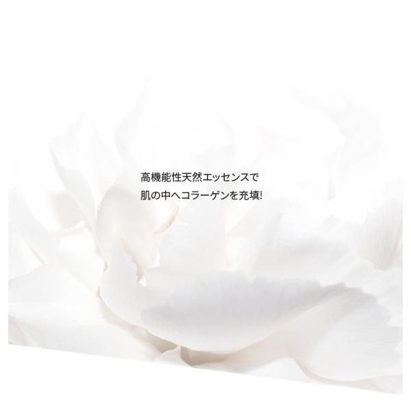 ビューティクロ ノニパーフェクトデザインエッセンス Beautiqlo Noni Perfect Design Essence 韓国コスメ Ph調整 しっとりタイプ 美容液 敏感肌 Buyee Buyee 提供一站式最全面最专业现地yahoo Japan拍卖代bid代拍代购服务 Bot Online