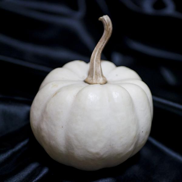 夏野菜 テーブルクイーンかぼちゃ 5個 常温便 1280 築地魚群 通販 Yahoo ショッピング