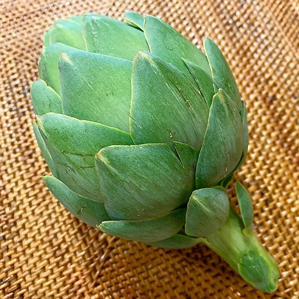 輸入野菜 アーティチョーク 2個 冷蔵便 1297 築地魚群 通販 Yahoo ショッピング