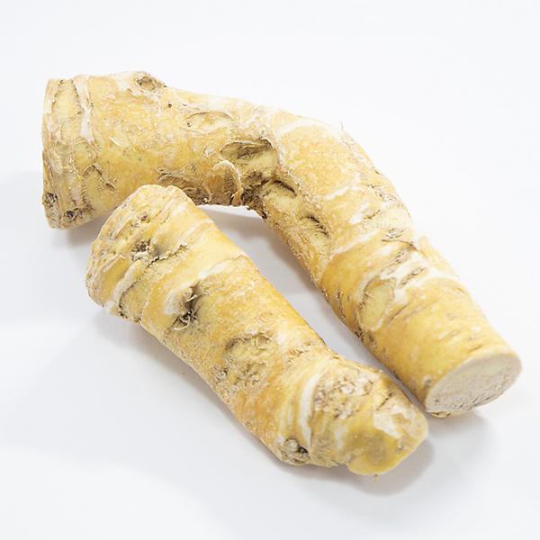 輸入野菜 ホースラディッシュ レホール 西洋わさび 500g 冷蔵便 1299 築地魚群 通販 Yahoo ショッピング