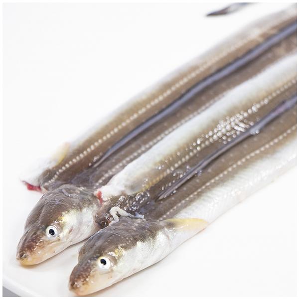 【内容(量)】穴子の開き5尾（マル200gの穴子5尾）【原材料(産地)】穴子（韓国、長崎、宮城他）【賞味期限】冷蔵保存で2-3日【注意点】加熱してお召し上がりください。