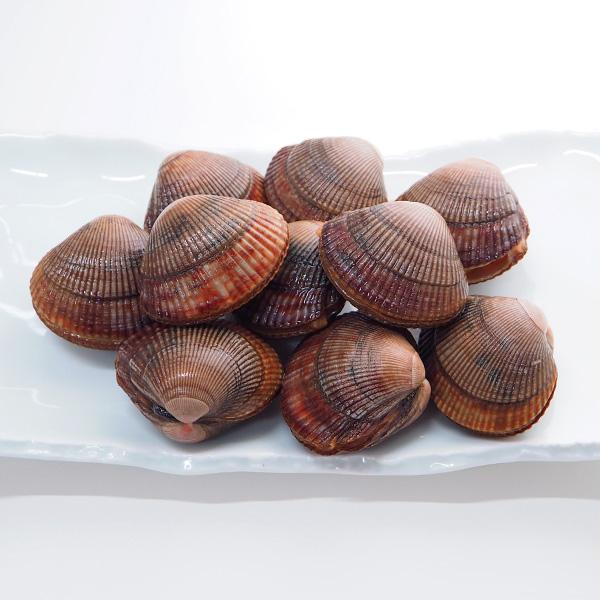 ★特選一点貝★コレは買いだ！【そう、イケチョウ貝だ】 イケチョウ貝をご存知ですか？ | SEAGULL IV Official Blog