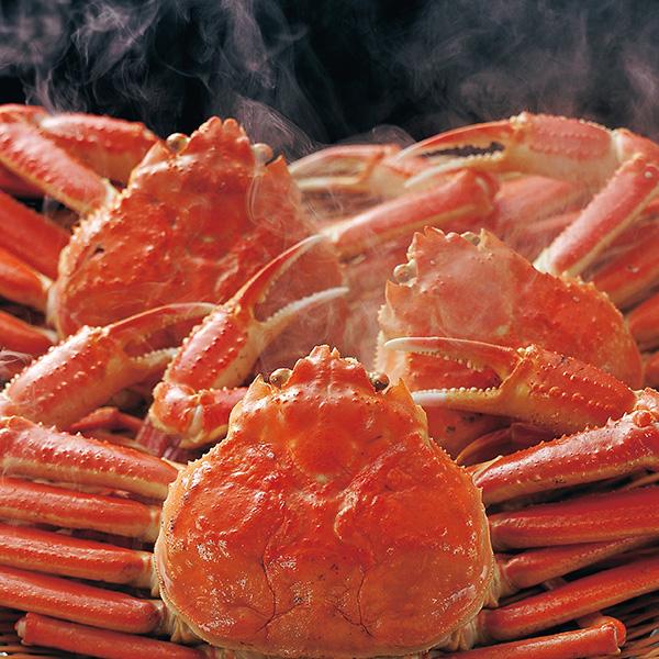ボイルズワイガニ姿3kg（600g×5尾） 冷凍便 : 築地魚群 - 通販 - Yahoo