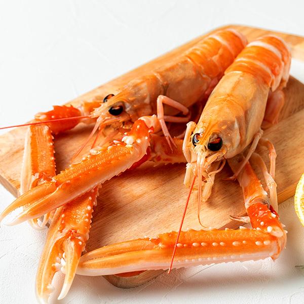 えび@基本購入アカ アカザエビ(スキャンピ)1kg 冷凍便 : 築地魚群 - 通販 - Yahoo