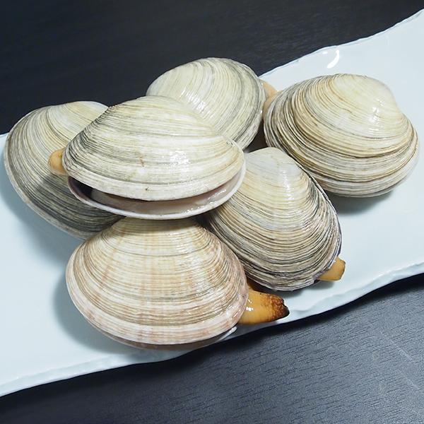 活大アサリ（ウチムラサキ貝）1kg 冷蔵便 : 築地魚群 - 通販 - Yahoo