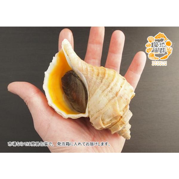 �^�ԊL�i�G�]�{���L�j500g�i�k�C���Y�j�@�①�� ���i�摜2