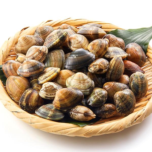 あさり500g　冷蔵便