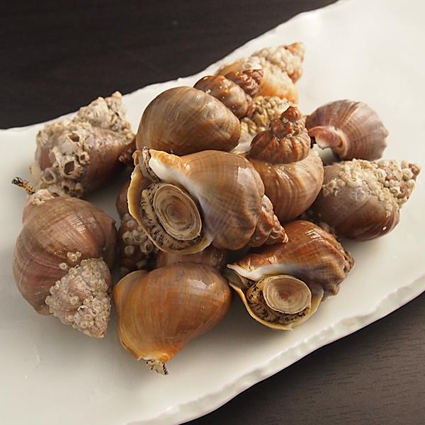 磯つぶ貝（エゾバイ）500g（北海道産） 冷蔵便 : 築地魚群 - 通販
