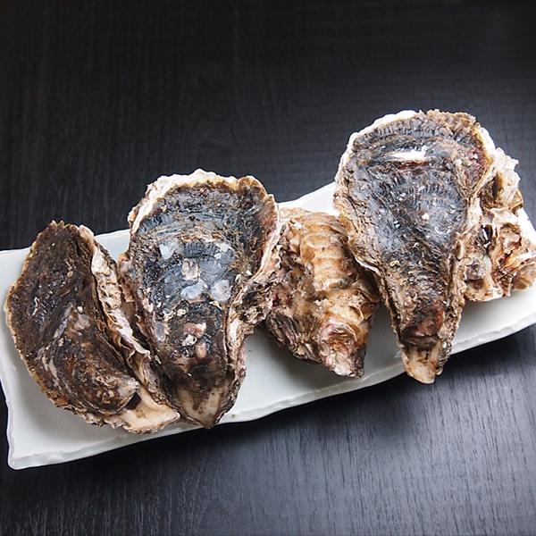 生食用岩牡蠣5個 冷蔵便 : 築地魚群 - 通販 - Yahoo!ショッピング