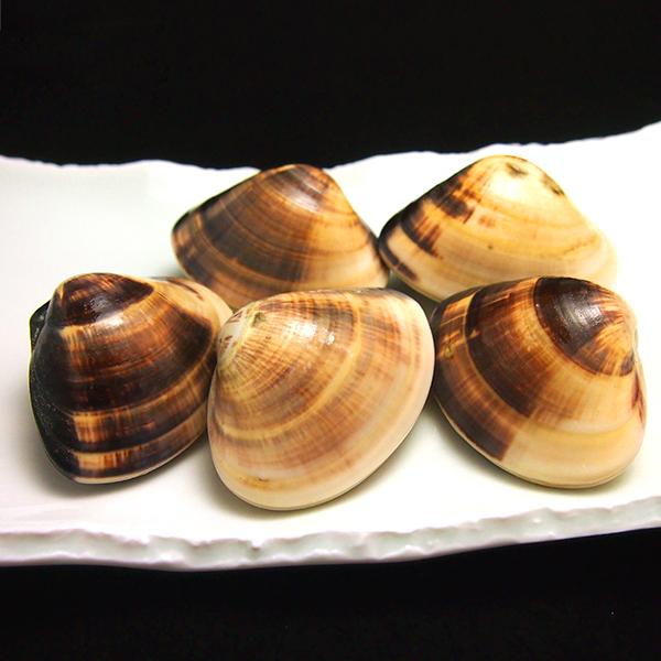 【内容(量)】活はまぐり(地蛤)　500g(5-8個前後)【原材料(産地)】はまぐり（千葉県）【賞味期限】冷蔵保存で2日【注意点】時化などでご希望の納品日にお届けできない場合があります。その場合はご連絡します。