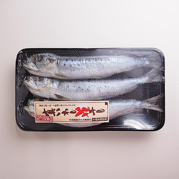 いわし 築地丸中 愛知県豊浜産！無添加いわし丸干し8尾入り！ いわし