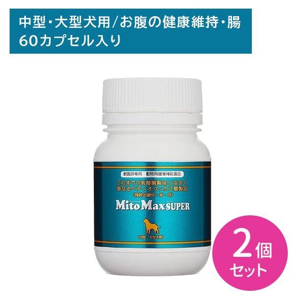 共立製薬 【賞味期限2025.8.31】【2個セット】マイトマックス 共立製薬 【賞味期限2025.8.31】【2個セット】マイトマックス