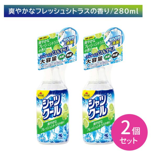 【2個セット】熱中対策シャツクール 爽やかなフレッシュシトラスの香り 280ml 暑さ対策 冷却 冷感 ひんやり 涼しい 衣類 汗 匂い 消臭 除菌 通勤 通学 小林製薬