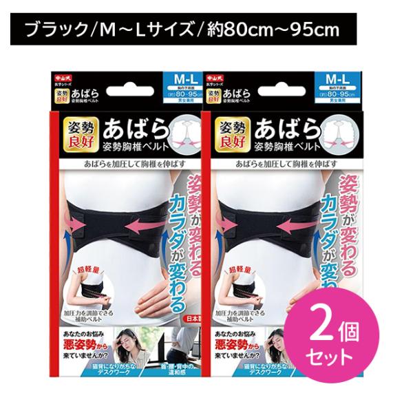 【2個セット】中山式あばら姿勢胸椎ベルト M〜Lサイズ 姿勢改善 肩甲骨 肋骨周り 整える 通気性 伸縮性 補助ベルト 強さ調節 加圧力調節 フィット 男女兼用