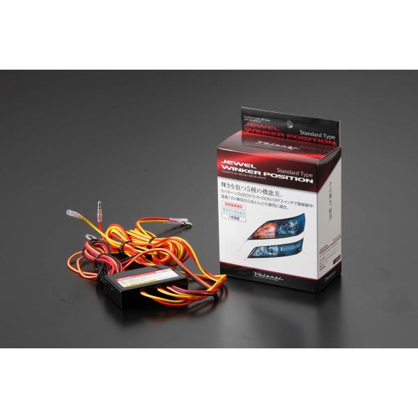 ヴァレンティ（VALENTI） WP03-KIT-1 LEDLEDウインカーポジション