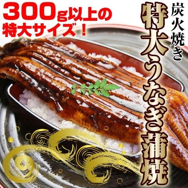 決済処分価格 うなぎ蒲焼1尾約３００ｇ（中国産）特大