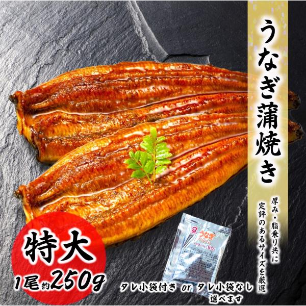 1尾約220gのうなぎ蒲焼のです。真空処理済みで1尾ずつの真空個包装！料理店でもご利用いただいている商品です。実際にご利用いただいている料理店からも好評をいただいております。 温めるだけでウナギの味がいつでもお楽しみ頂けます！ 冷凍保存の商...