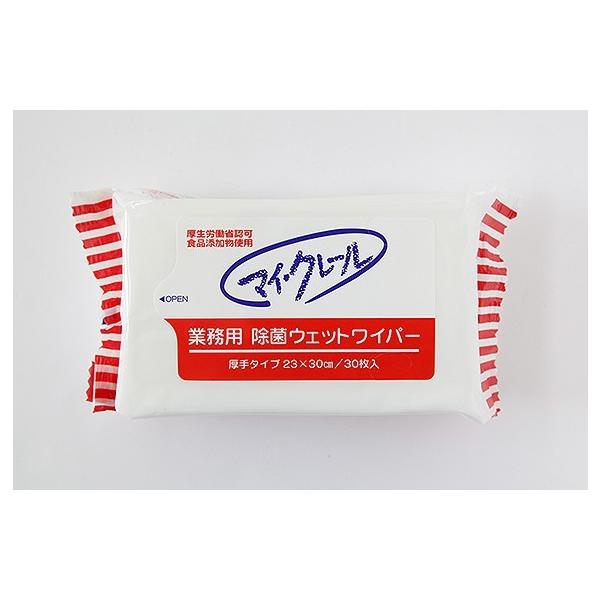 }CN[Ɩp@ۃEGbgCp[@@30×24܁@@200mm×300mm@ @lzsEs