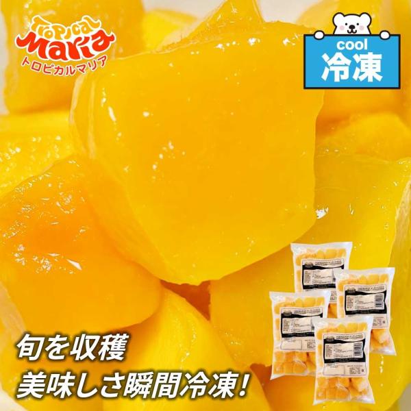 冷凍 マンゴー ごろっと ダイスカット 大容量 2kg(500g×4) トロピカルマリア アスク 大振り 無添加 業務用 冷凍フルーツ 砂糖不使用 「冷凍マンゴー」 SC