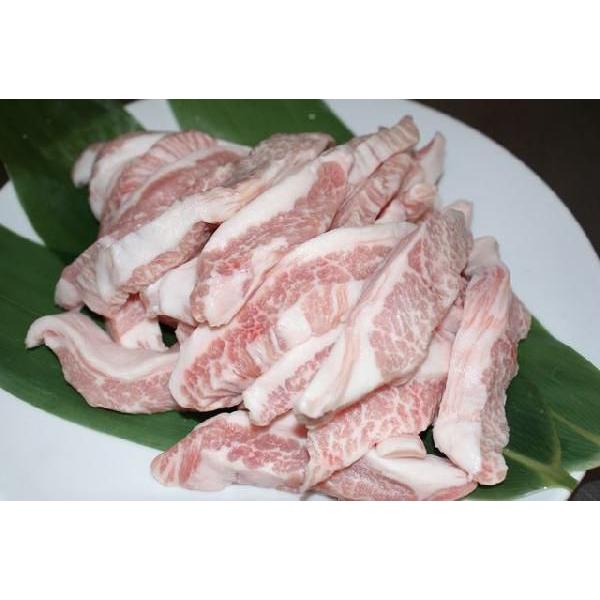 国産豚トロ 自家製タレ付き ２００ｇ ２人前 ６２０ 国産青森県産 豚のネック希少価値ある部位 焼肉通販 Buyee Buyee Jasa Perwakilan Pembelian Barang Online Di Jepang