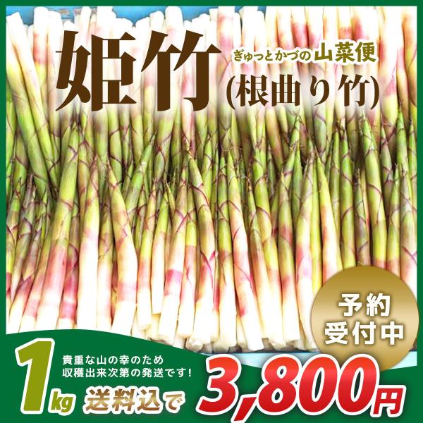 姫竹 1kg 根曲がり竹 ねまがりたけ タケノコ たけのこ 秋田産 姫竹 1kg 根曲がり竹 ねまがりたけ タケノコ たけのこ 秋田産