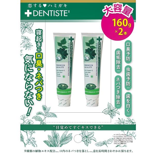 デンティス 歯磨き粉 チューブタイプ 160g x 2本 DENTISTE Toothpaste