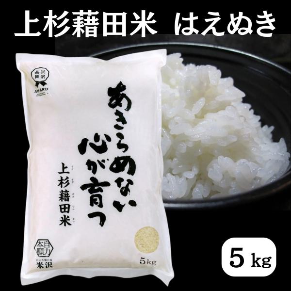 令和8年産 はえぬき 5kg 白米 精米 ごはん ご飯 産地直送 農家直送 国産米 国産 常温 山形県 米沢市産