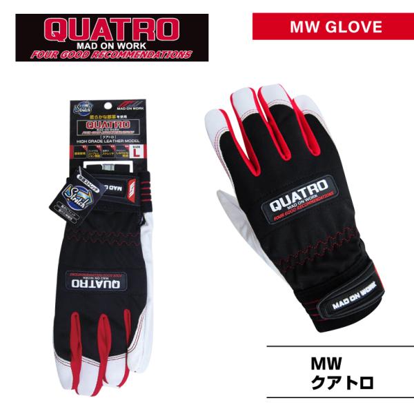 ؊v܁uQUATROiNAgjvƗp܁E܁yMITANI@~^jR[|[Vz