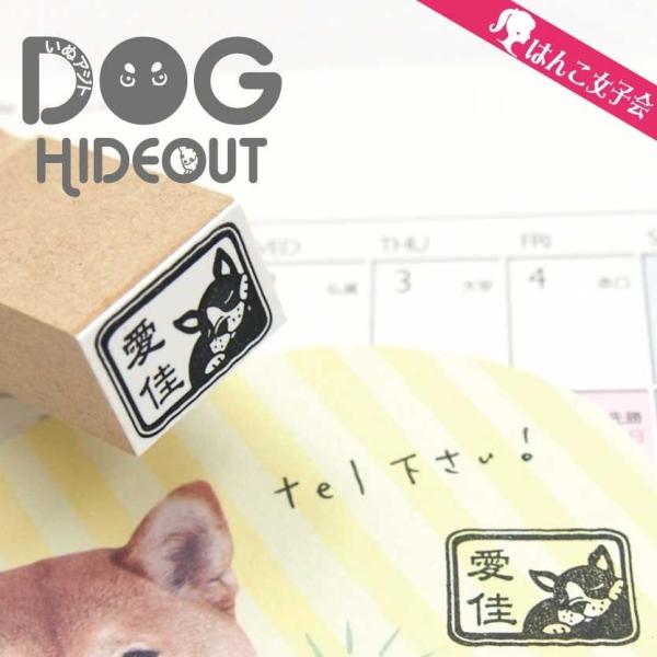 ʃSmini ̃fUC̃S  ͂ CP