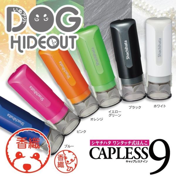 V`n^ LbvX9 fUCl[  ͂ CP