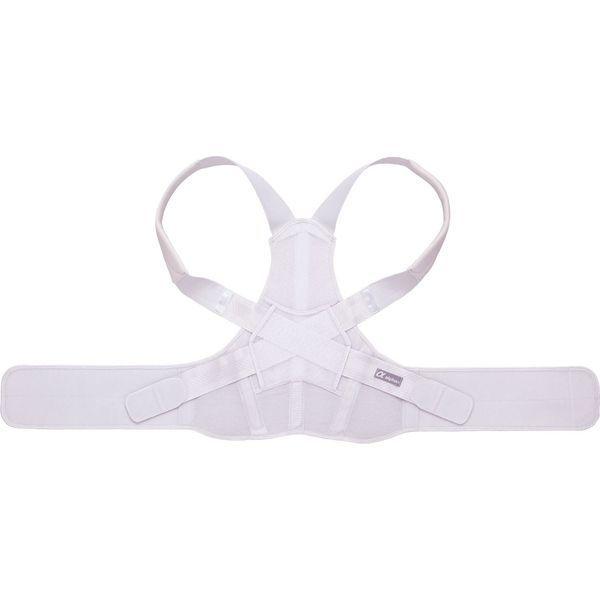 アルファックス お医者さんのがっちり背すじベルト L-LL AP-202813 334882 1個（直送品）