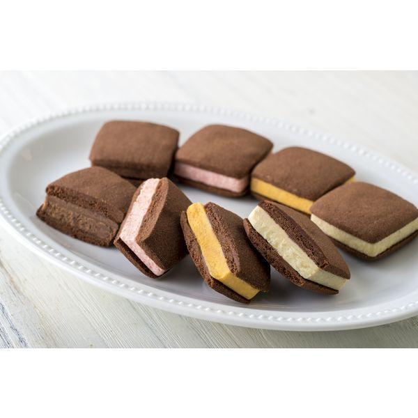 銀座千疋屋 銀座焼きショコラサブレ PGS-276（直送品）