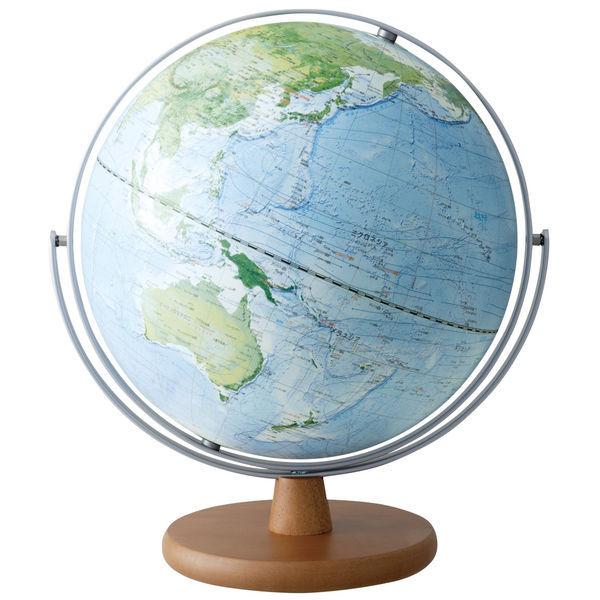 レイメイ藤井　地球儀 全回転 土地被覆タイプ 30cm　OYV260　（直送品）