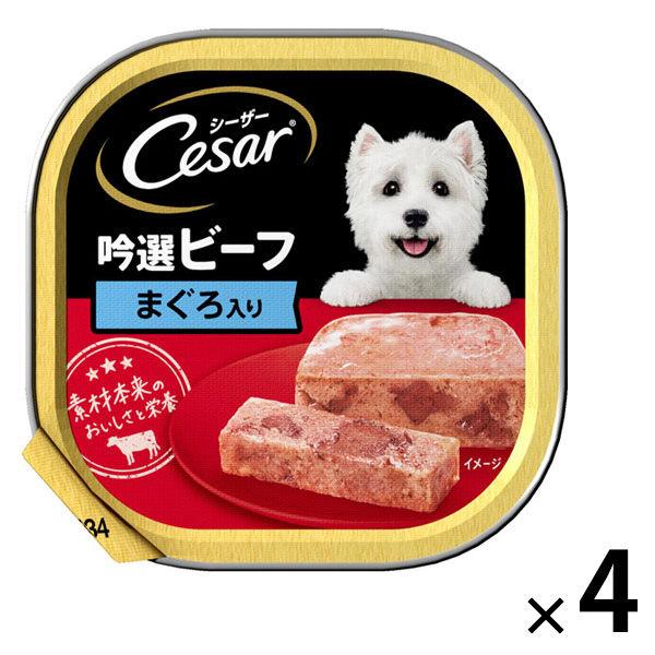 シーザー 犬 吟選ビーフ まぐろ入り 100g 4個 ドッグフード ウェット トレイ