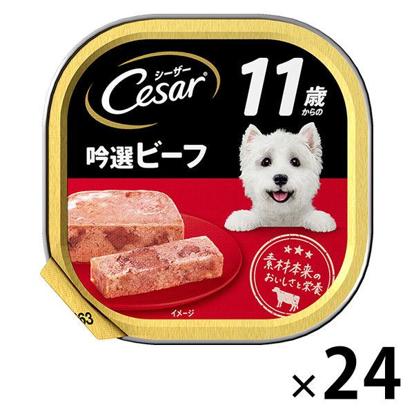 シーザー 11歳からの吟選ビーフ 100g 24個 ドッグフード 犬 ウェット トレイ