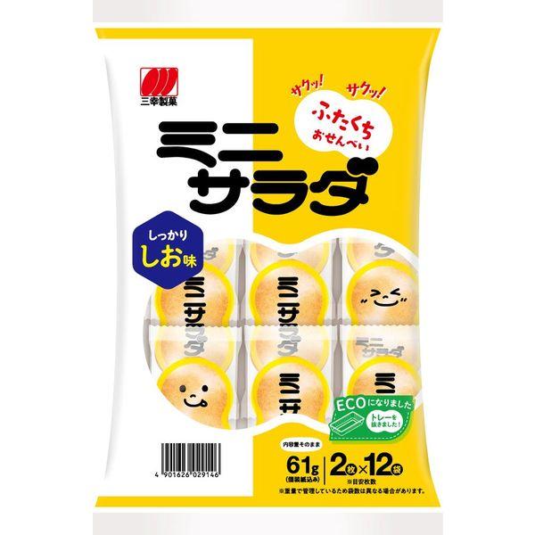 （セール）三幸製菓 ミニサラダしお味 1袋