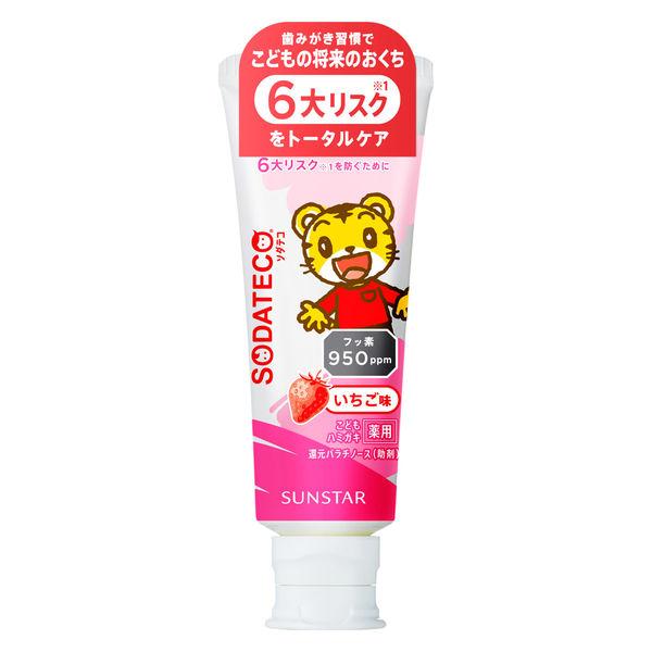 歯磨き粉 フッ素 子供用 ソダテコ こどもハミガキ いちご 70g サンスター