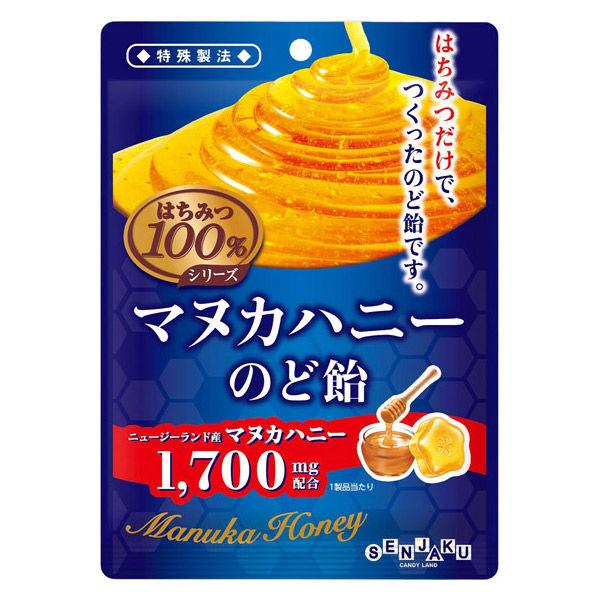 キャンディーのど飴 はちみつ100％シリーズ　マヌカハニーのど飴 45g 1個
