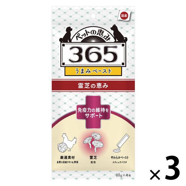 ペットの恵み365 うまみペースト 免疫力の維持をサポート 国産（10gx4本）3袋 新東亜交易 ドッグフード