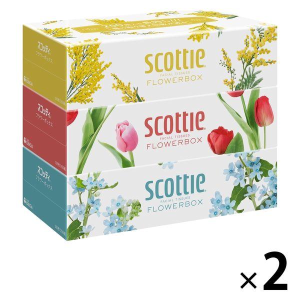 ティッシュペーパー スコッティ ティシュー 250組（3箱入）フラワーボックス 1セット（2パック）（イチオシ）