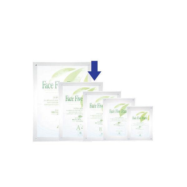 アートプリントジャパン　フェイスファイブフレーム A4（外寸：347×260mm） クリア 3枚