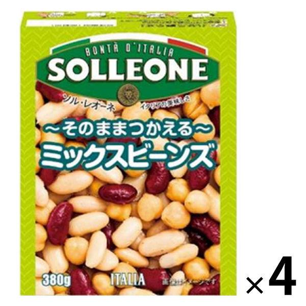 ソル・レオーネ ミックスビーンズ 1セット（4個）